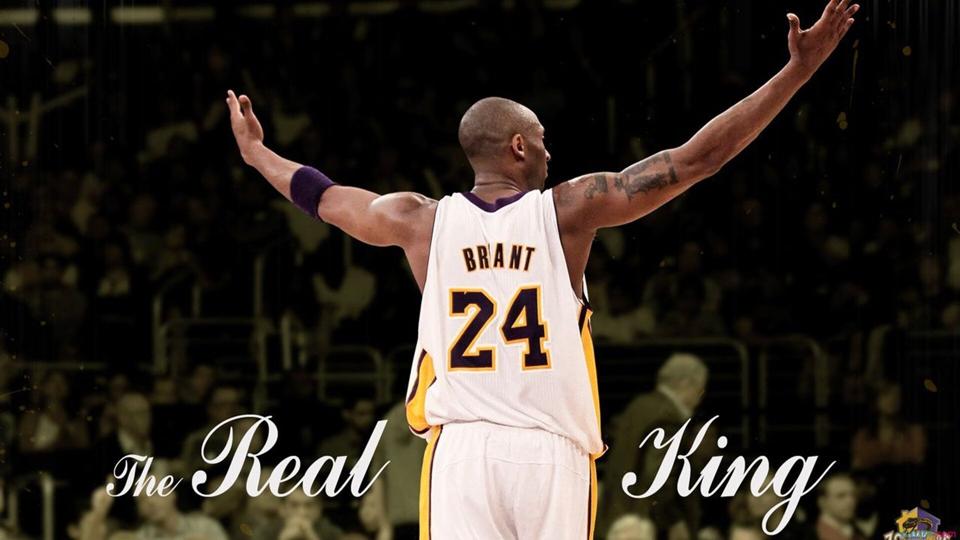 篮球赛季MVP热门球员